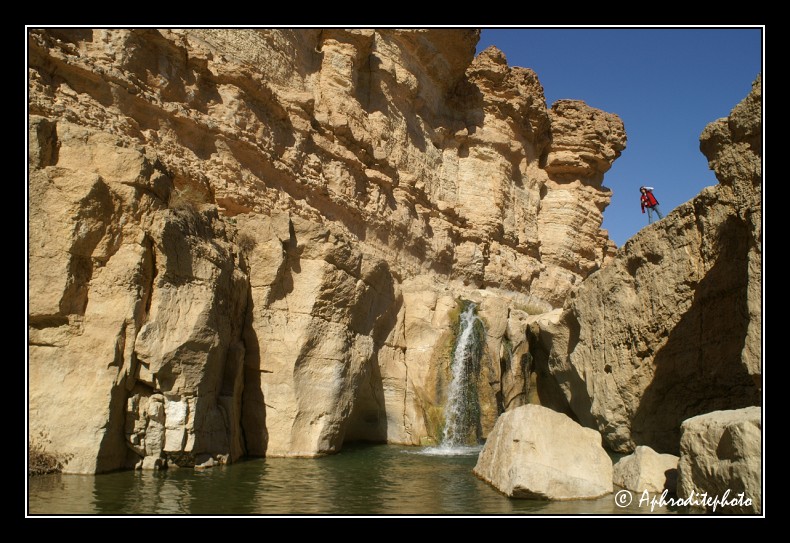 198 Tamerza, sa source et cascade